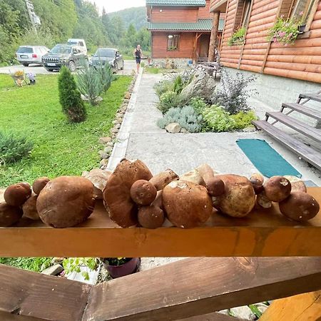 Villa Na uzlissi Myhove Esterno foto