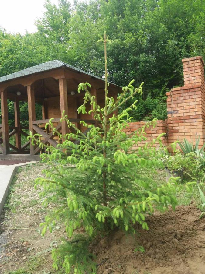 Villa Na uzlissi Myhove Esterno foto