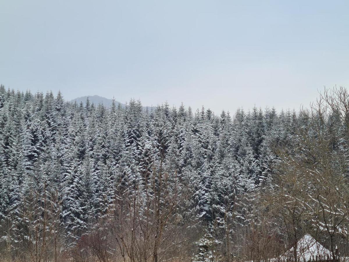Villa Na uzlissi Myhove Esterno foto