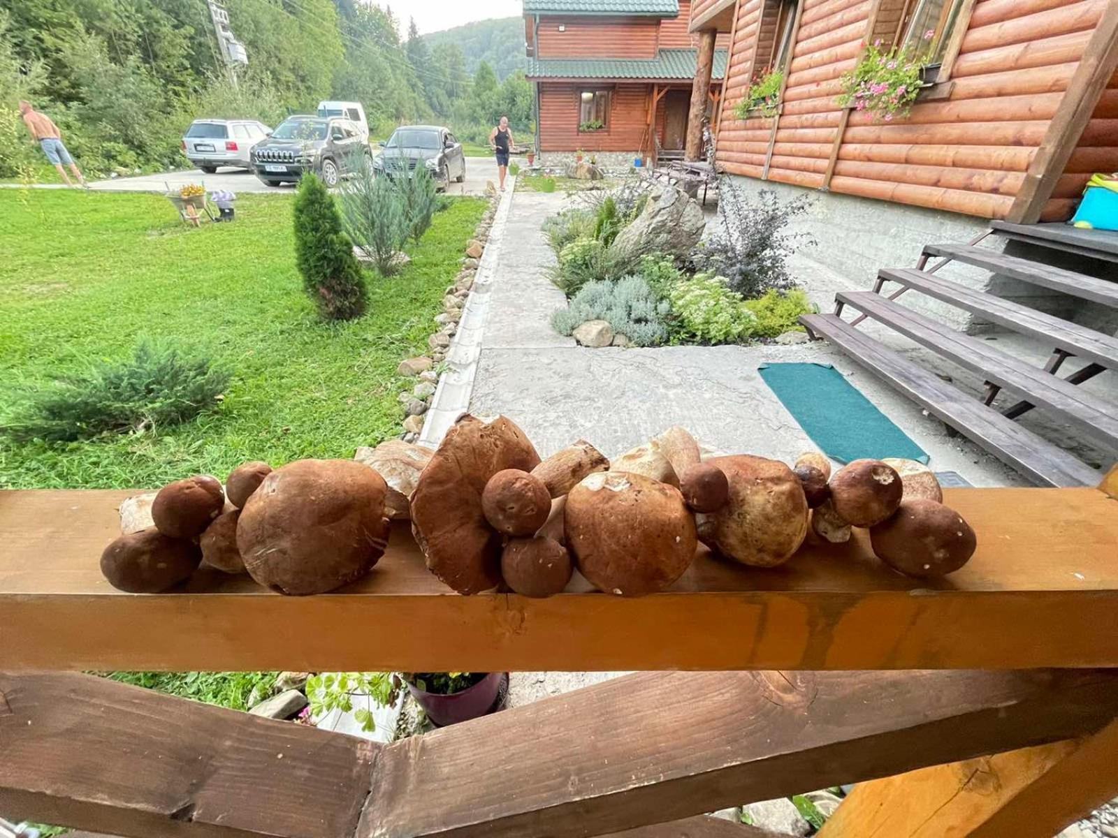 Villa Na uzlissi Myhove Esterno foto
